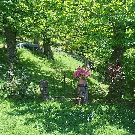 Ristorante La Selva Hotel