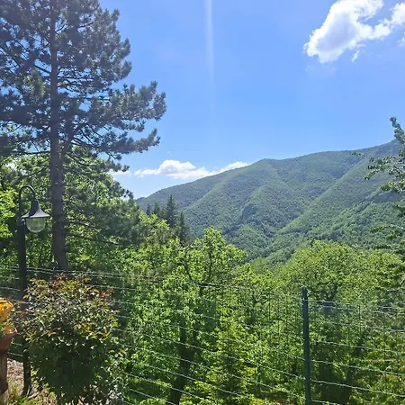Hotel Ristorante La Selva