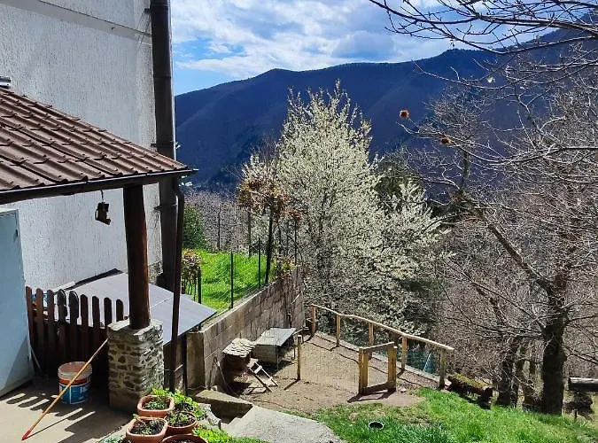 Ξενοδοχείο Ristorante La Selva