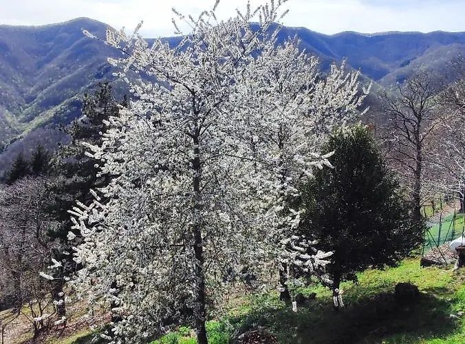 Ristorante La Selva Orsigna