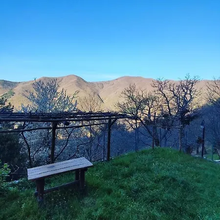 Ristorante La Selva