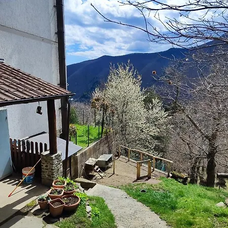 Hotel Ristorante La Selva